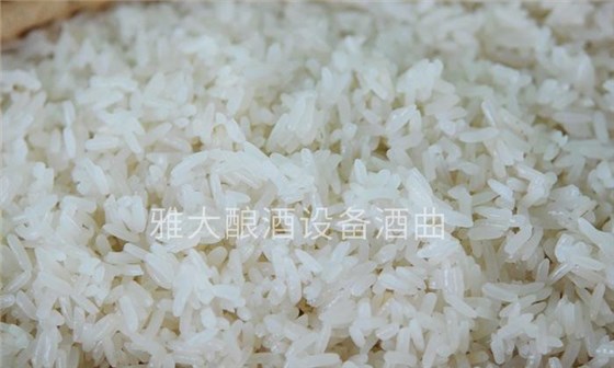 圖片5 圖片5