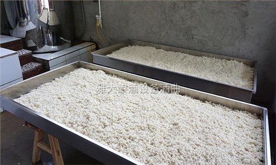 2.3 桂林小伙用1套白酒釀酒設(shè)備幾百斤大米起步開(kāi)酒坊!3 2.3 桂林小伙用1套白酒釀酒設(shè)備幾百斤大米起步開(kāi)酒坊!3