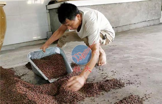 開個酒廠利潤大嗎 農村釀酒躺著也能賺錢的4大銷售方法 2 開個酒廠利潤大嗎 農村釀酒躺著也能賺錢的4大銷售方法 2