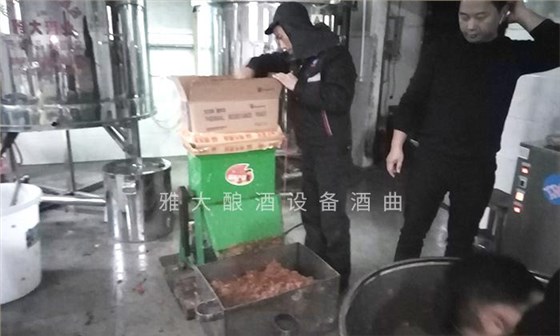 它酷似櫻桃,90后用果酒釀酒設備將它釀酒,見過的不多 4 它酷似櫻桃,90后用果酒釀酒設備將它釀酒,見過的不多 4