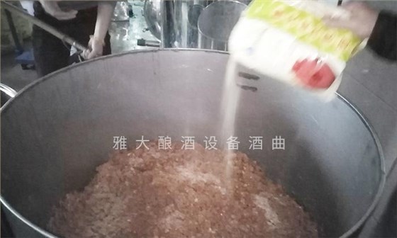 它酷似櫻桃,90后用果酒釀酒設備將它釀酒,見過的不多 5 它酷似櫻桃,90后用果酒釀酒設備將它釀酒,見過的不多 5