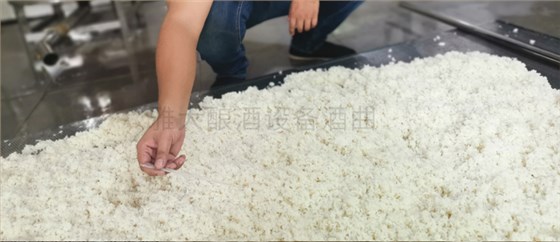 釀酒技術難不難?自己來學下 5 釀酒技術難不難?自己來學下 5