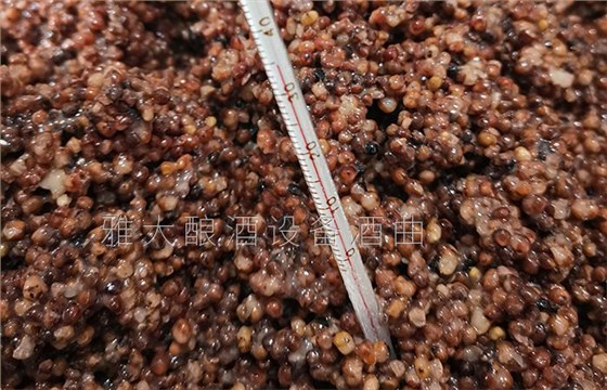 夏季用純糧釀酒設(shè)備做酒一不小心就變酸了,怎么辦? 3 夏季用純糧釀酒設(shè)備做酒一不小心就變酸了,怎么辦? 3