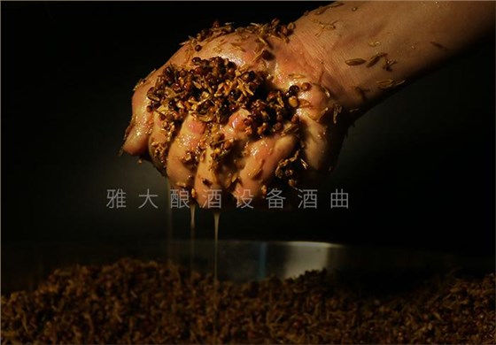 夏季用純糧釀酒設(shè)備做酒一不小心就變酸了,怎么辦? 4 夏季用純糧釀酒設(shè)備做酒一不小心就變酸了,怎么辦? 4