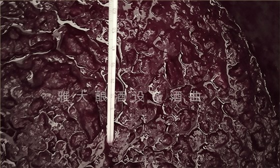 想做紫薯酒，口感好嗎？紫薯釀酒設備技術 4