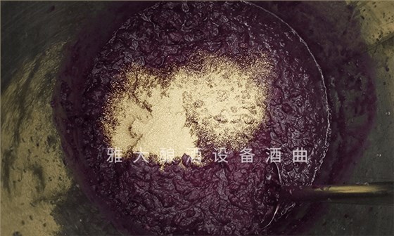 想做紫薯酒，口感好嗎？紫薯釀酒設備技術 6