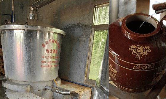 想做紫薯酒，口感好嗎？紫薯釀酒設備技術 7