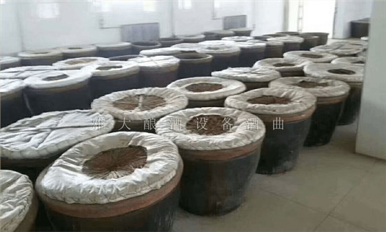 蒸酒設備-低溫發酵