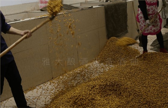 雅大釀酒設備-低溫入池
