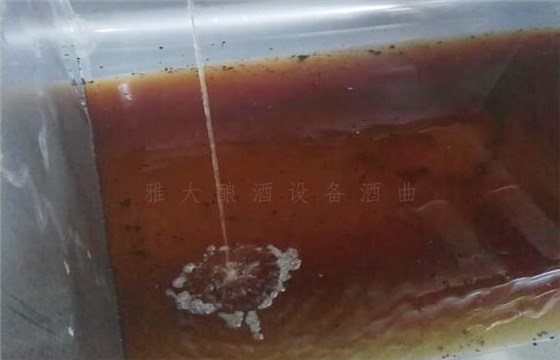 固態釀酒時黃漏入黃水坑中導致短產