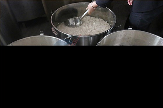 大米釀酒技術-加水發酵5