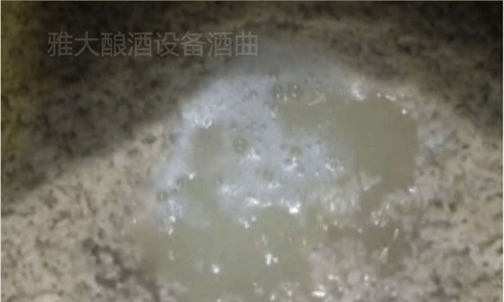 大米半固態發酵，沒加水前酒液就很豐富7