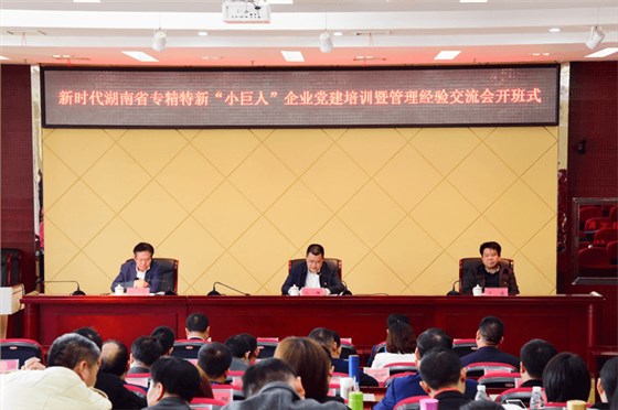 新時代湖南省專精特新“小巨人”企業黨建培訓