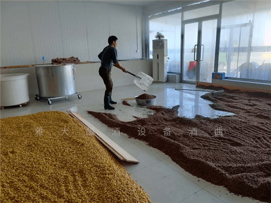 民間釀酒師正在用雅大白酒設備做高粱酒