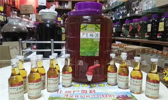 雅大廣西學員小莫釀造的青梅酒