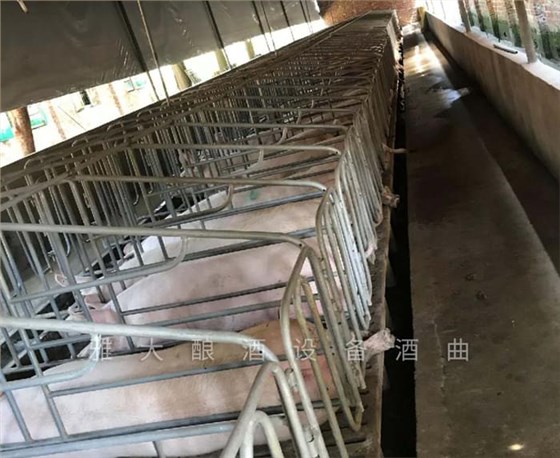 6.3劉總以前的養豬場