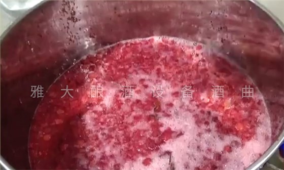 6.7楊梅釀酒技術-打碎