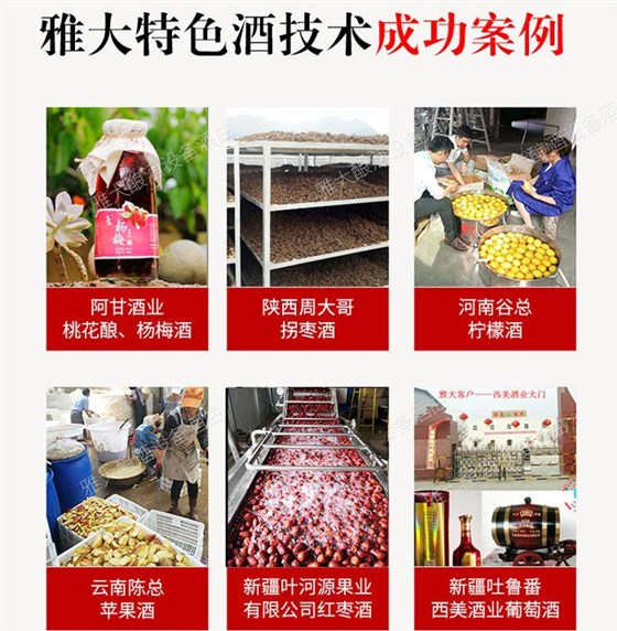 做水果酒有講究，酒曲一定要選對！ 5