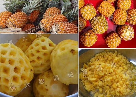 菠蘿釀酒技術-原料處理