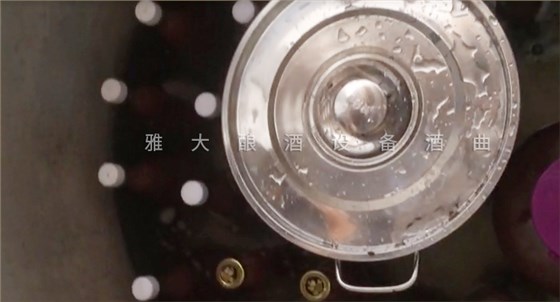 菠蘿釀酒技術-滅菌