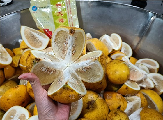 雅大幫彭總研發樣品酒