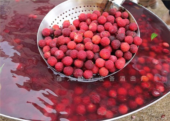 夏季用不銹鋼釀酒設備做酒，這3大白酒市場一定要把握住！5