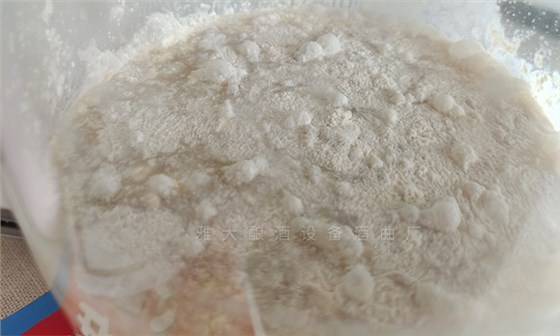 雜菌感染，發(fā)酵失敗