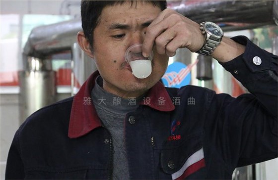 雅大新型釀酒設備釀造的純糧酒