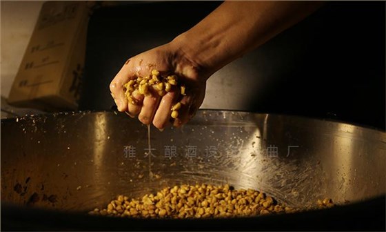 春季是發(fā)酵的醉好時機