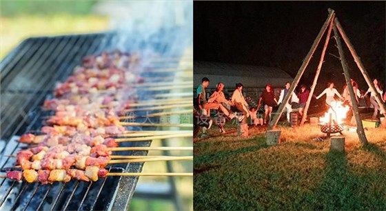 農(nóng)莊團(tuán)建
