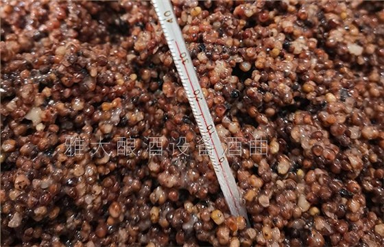 發酵過程中請控制好溫度