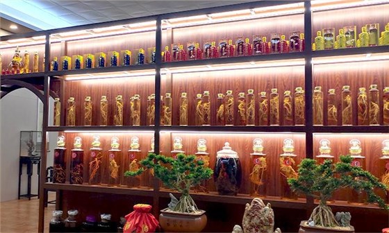 用大型釀酒設備釀造特色酒，提升酒坊競爭力！2