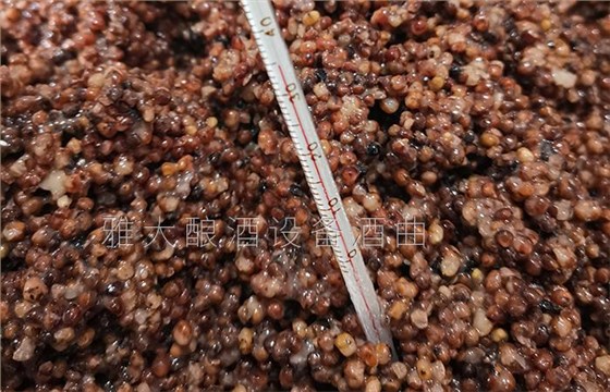 夏季用白酒蒸餾設(shè)備釀酒為什么容易酒苦？ 3