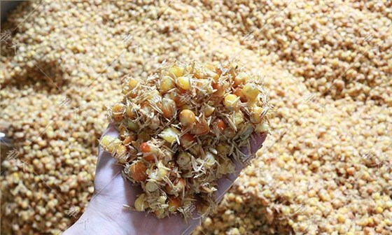 夏季用白酒蒸餾設(shè)備釀酒為什么容易酒苦？ 6