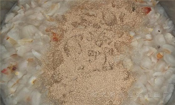用果酒釀酒設備將荔枝釀成酒，提升果農利潤和市場競爭力 5