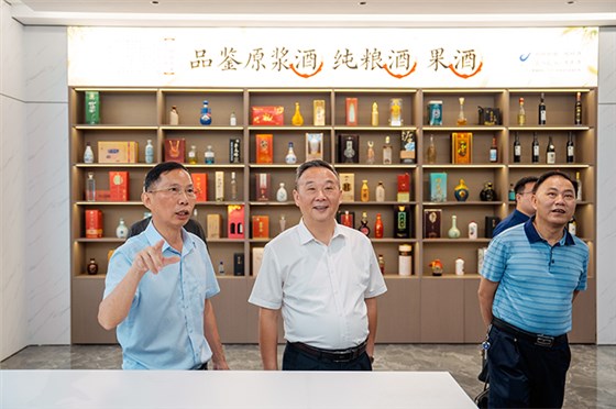 市場監督管理局黨組書記艾克海一行蒞臨雅大調研知識產權保護工作 9