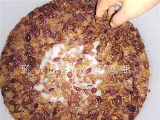 做強本土特色果酒產業，開辟果酒“新”賽道8