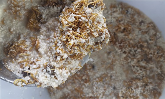 秋意濃，酒香醇，寒露與白酒的完美邂逅 7
