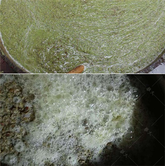 獼猴桃發酵