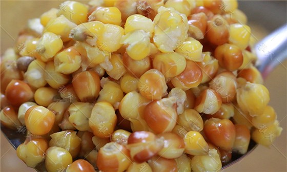 玉米蒸至開花率95%以上，外干內(nèi)軟