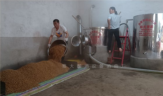 2025蛇年春節(jié)，是繼續(xù)打工還是釀酒創(chuàng)業(yè)自己當老板？ 3