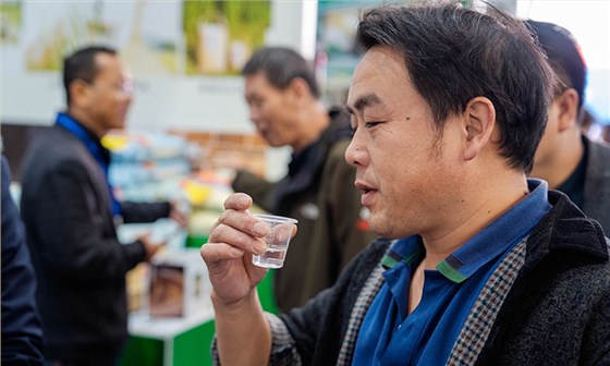 小曲清香型白酒檢測全攻略：指標解析與送檢要點 2