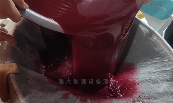 桑葚“次果”變黃金！低成本釀熱銷果酒，增收秘訣看這里！ 7
