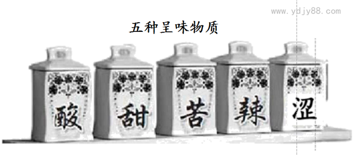 五種呈味物質