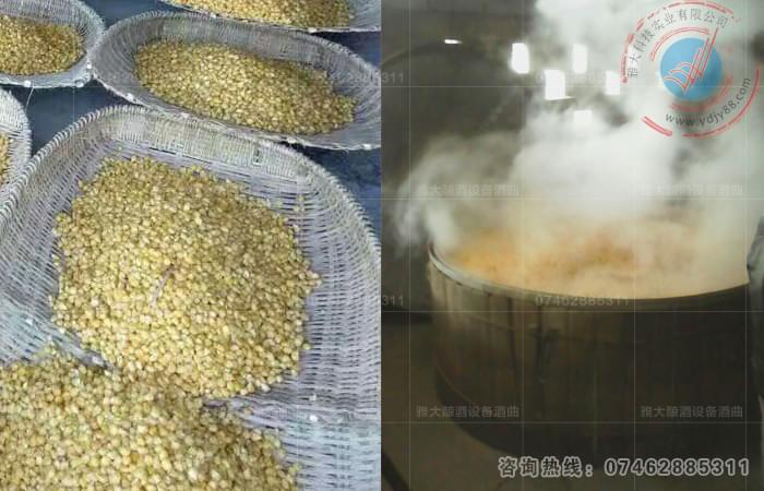 顆粒玉米釀造工藝流程圖-家庭釀酒設備