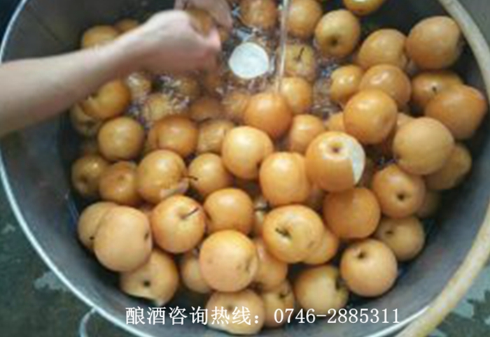 梨子酒清洗環節