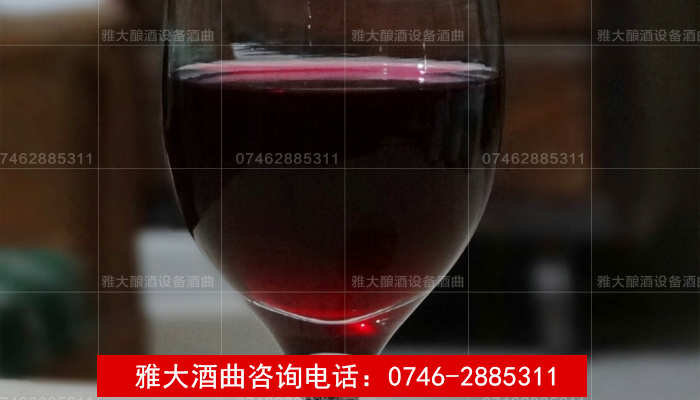 【釀酒技術】釀火龍果酒用水果酒曲