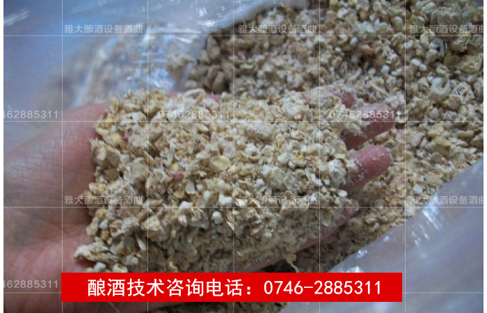 【釀酒技術】玉米酒-玉米芯釀酒