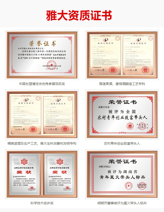 8雅大資質證書