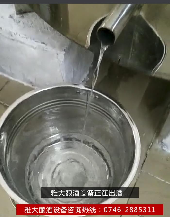 【釀酒設備】雅大釀酒設備正在出酒